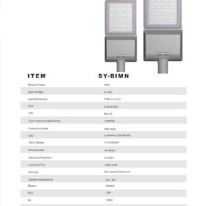 SUNYO SY-BIMN 2022 - 60W